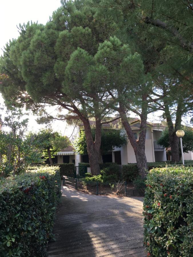 Cosy Lagune Apartment Saint-Cyprien (Pyrenees-Orientales)